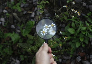 Explorando a Jornada da Sustentabilidade: O Papel Vital do "Consumer Intervention Mapping"